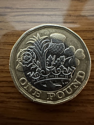 One pound coin - one,