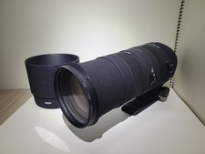 Sigma APO 150-500 mm F5-6.3 DG