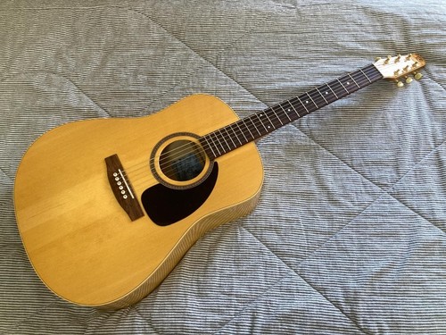 Chitarra acustica seagull 20th - chitarra,