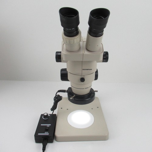 Microscopio zoom stereo - microscopio,