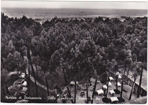 Marina pietrasanta lucca - pietrasanta,
