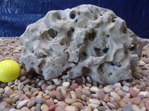 Texas holey rock - texas/tn,
