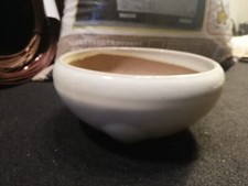 vaso per bonsai tondo