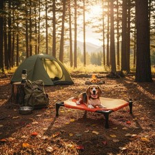 Brandina campeggio per cani - brandina,