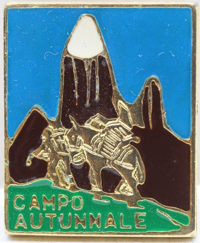 Distintivo alpini campo - alpini,