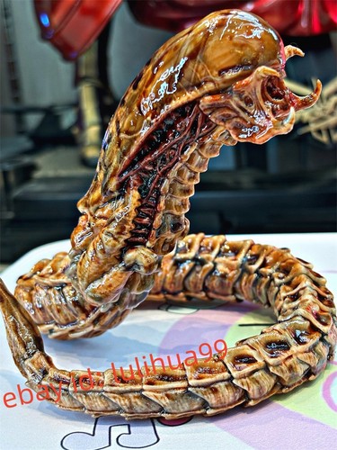Alien predator chestburster - predator,