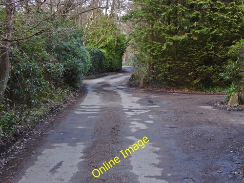 Photo 6x4 hollybush ride - 6x4,