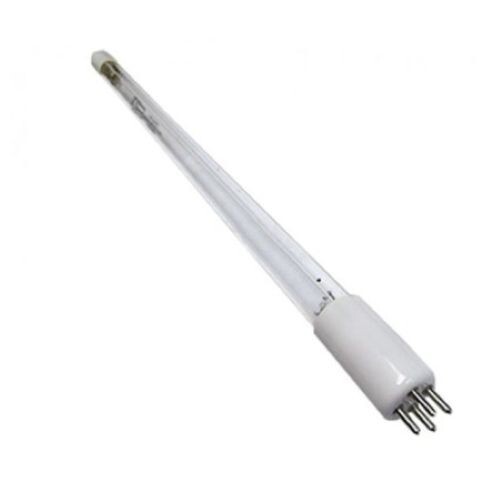 Lampada watt attacco 4 - lampada,