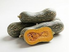 Semi di Zucca Gialla di Napoli