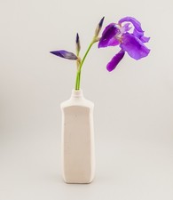 SELETTI - Vaso design