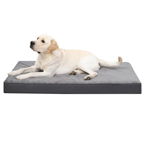 Cuccia cane interno taglia - interno,