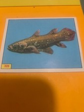 FIGURINA N.328 ANIMALI PREISTORICI ALBUM PANINI 1974 ORIGINALE OTTIMA CON VELINA