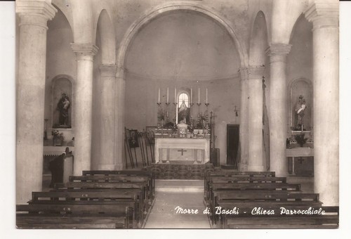Morre baschi - tr, )