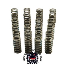 Kit molle valvole - motore, bmw