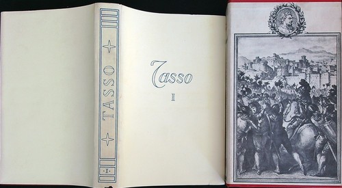 Tasso torquato - tasso,