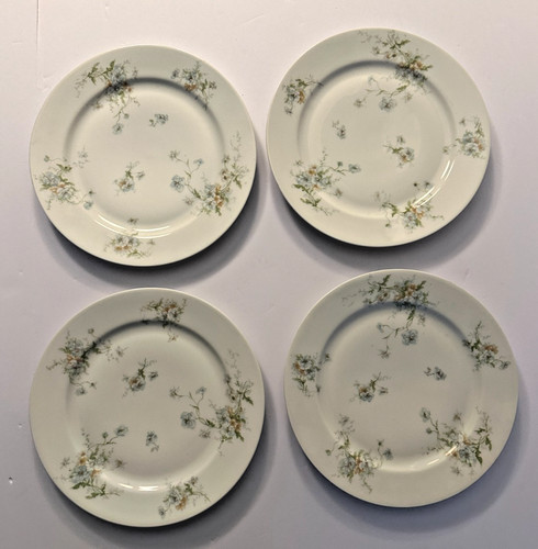 Antico theodore haviland - antico,
