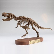 Statua dinosauro scheletro