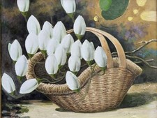 AUTENTICO DIPINTO OLIO