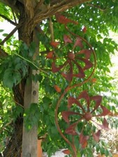 Ruota eolica in acciaio inox mandala doppio mulino a vento giardino ruggine s...