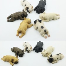 JJM Sleepy Bulldog Francese