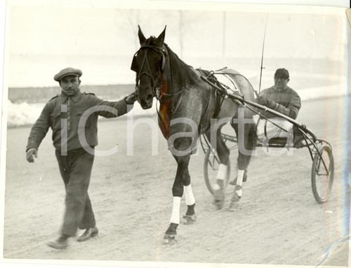 1935 milano cavallo aulo - milano,