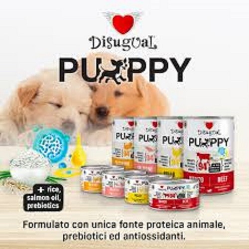 Disugual umido puppy - disugual,
