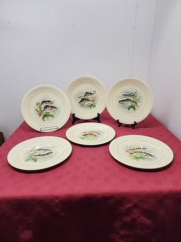 Set piatti pesce gien - pesce,
