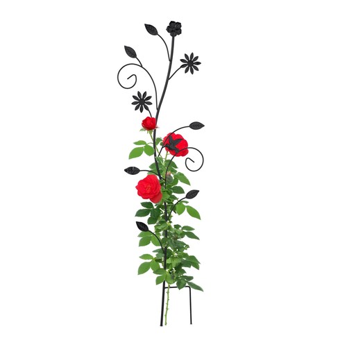 Supporto rampicanti giardino - rampicanti,
