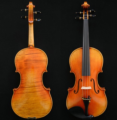 Splendido violino suono - splendido,