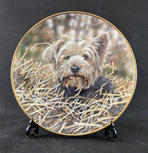 Danbury mint plate - danbury, ~
