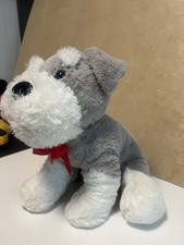 Schnauzer Cucciolo Cane