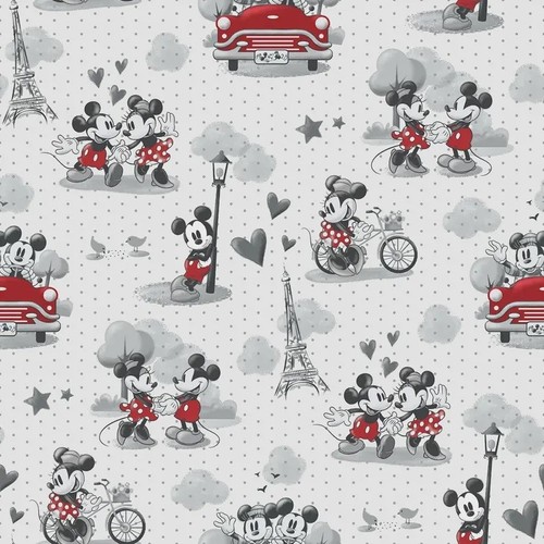The yard topolino - topolino, minnie