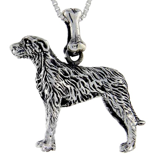 Argento sterling irlandese - sterling,