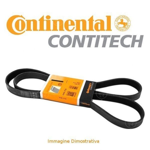 Cinghia servizi poly - cinghia,