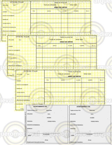 Scheda ufficiale armi - , 4a