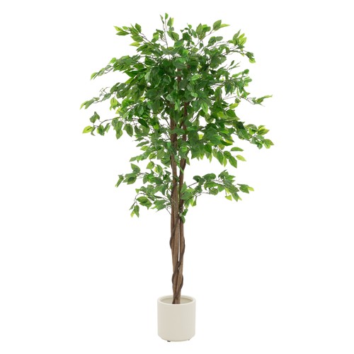 Ficus artificiale 150 - , cm