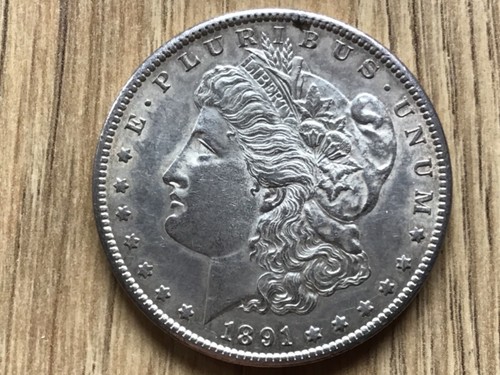 Dollaro morgan 1891 in - dollaro,