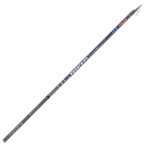 Canna falcon venere - falcon, medium
