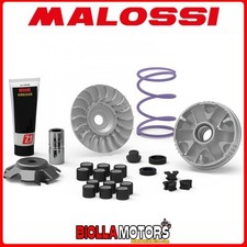 5118238 variatore malossi mhr - variatore,