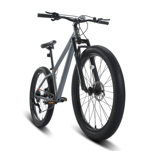 Bicicletta mountain bike