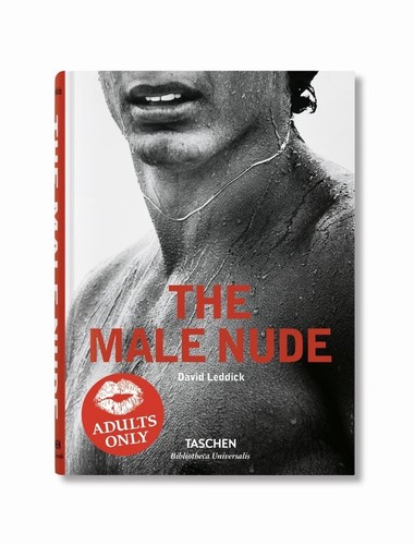 The male nude david - male,