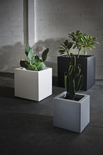 Vaso quadrato Cubo Fenice in