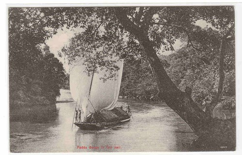 Cartolina padda barge sul - cartolina,