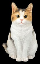 Statua da Giardino Tri-Color