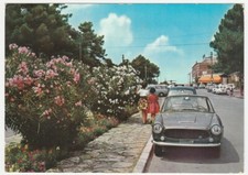 TIRRENIA - PISA - VIALE BELVEDERE - VIAGG. 1964 -16561-