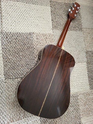 Chitarra jasmine takamine - chitarra,