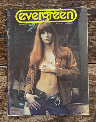 Evergreen review counter - evergreen, #88/counter
