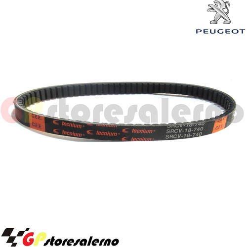 Ct048 cinghia trasmissione - ct048,