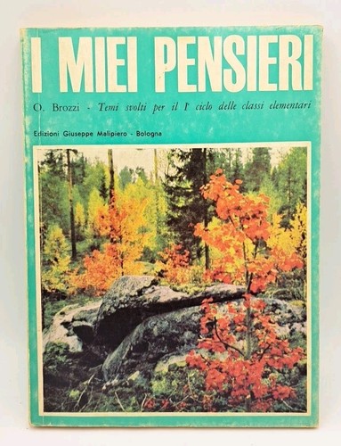Miei pensieri brozzi - i,
