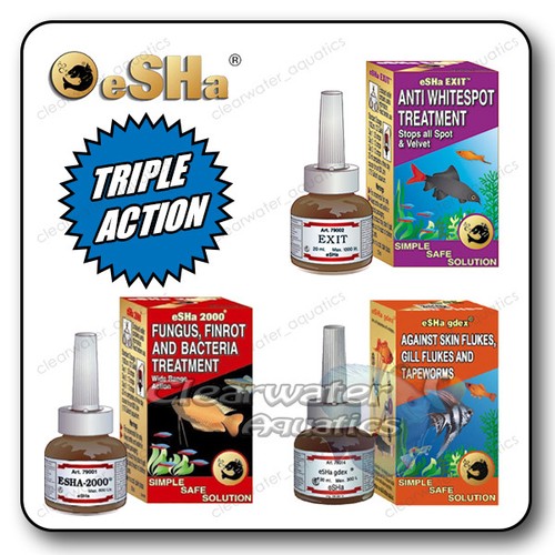 Esha 2000 exit gdex fish - exit,